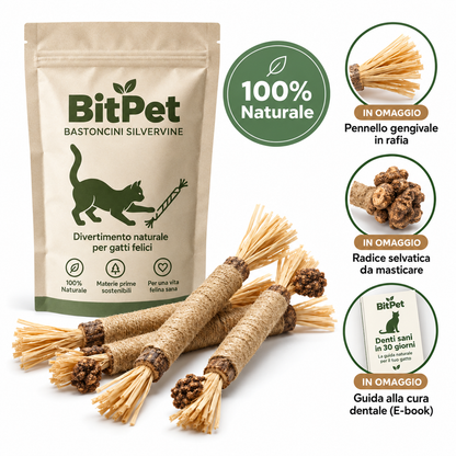 BitPet — Bastoncino Silvervine per Gatti
