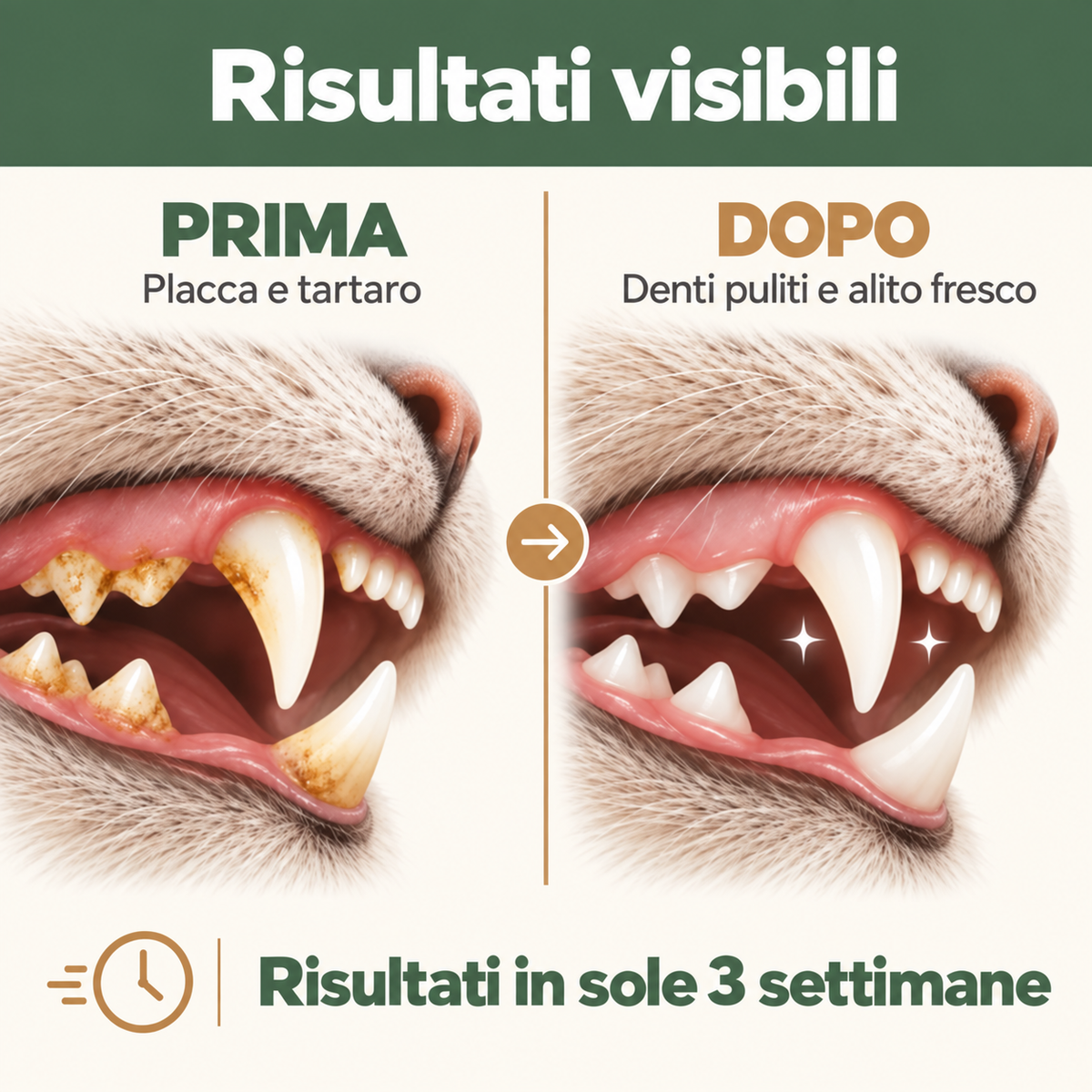 BitPet — Bastoncino Silvervine per Gatti