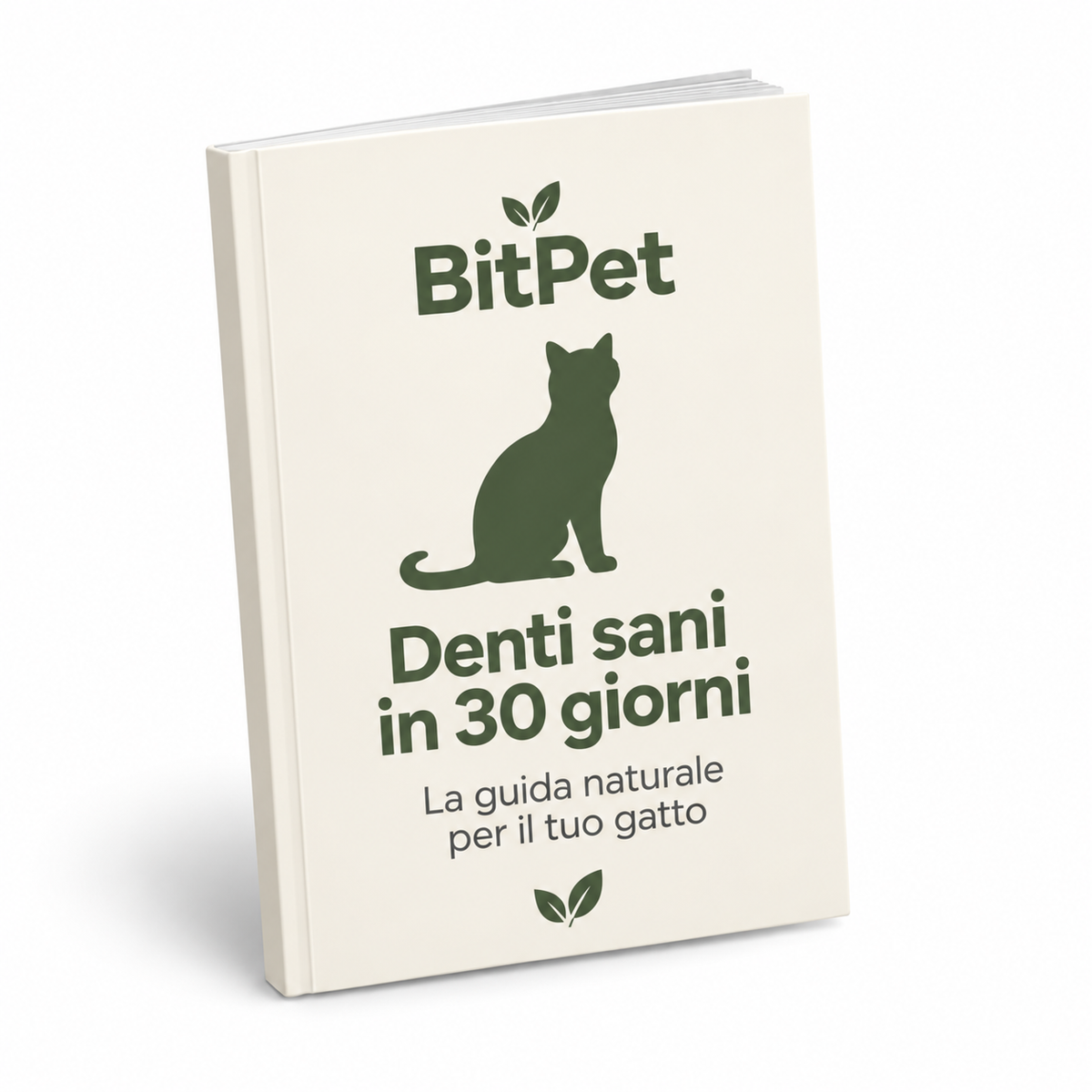 Guida alla cura dentale (e-book)